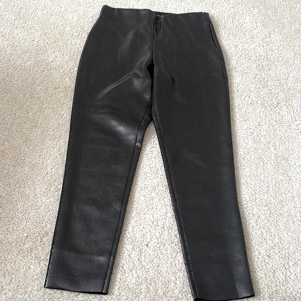 Zara Faux Leather Snake Skin Leggings